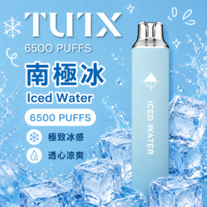 TUTX 6500口拋棄式電子煙 - 藍莓口味